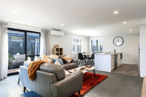 Photo of property in 259a Scott Street, Redwoodtown, 7201