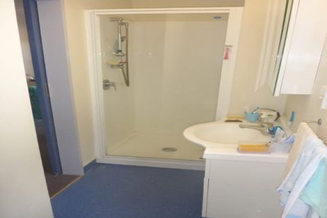 Photo of property in 223c The Terrace, Wellington Central, Wellington, 6011