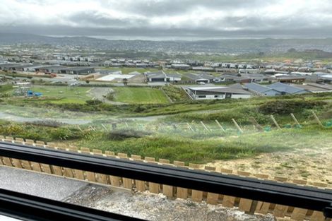 Photo of property in 54 Astelia Way, Woodridge, Wellington, 6037