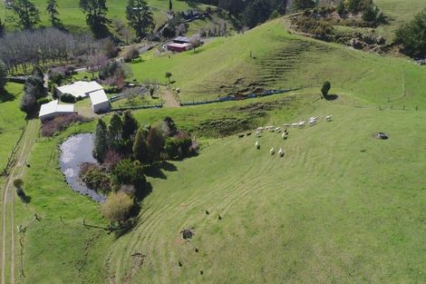 Photo of property in 559 Crawford Road, Minden, Tauranga, 3171