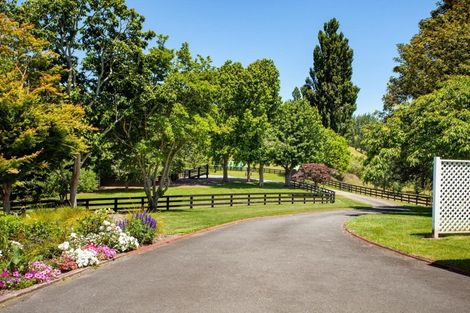 Photo of property in 328 Buckland Road, Matamata, 3472