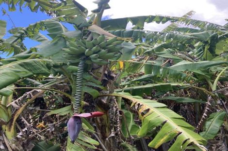 Photo of property in 101 Pukenui Road, Ngunguru, Whangarei, 0173