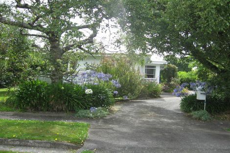 Photo of property in 2 Sedcole Street, Pahiatua, 4910
