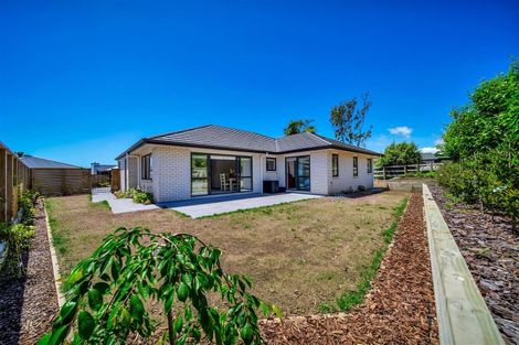 Photo of property in 389c Frankley Road, Ferndale, New Plymouth, 4310