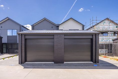 Photo of property in 50 Musselwhite Terrace, Chartwell, 3210