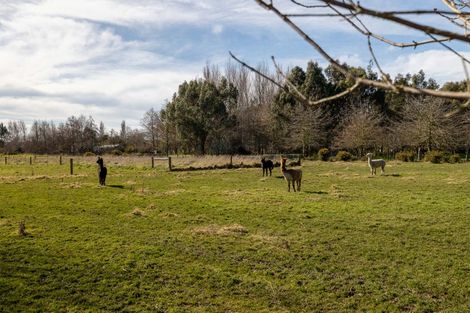 Photo of property in 434 Collins Road, Springston, Christchurch, 7674