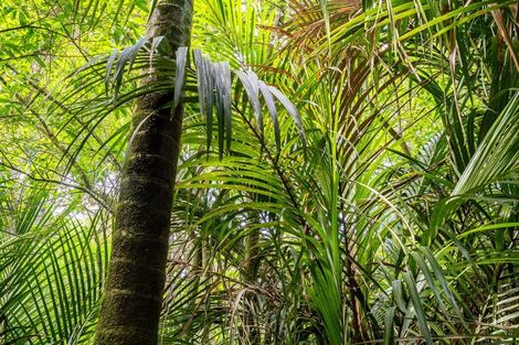 Photo of property in 62 Lamb Road, Parua Bay, Whangarei, 0174