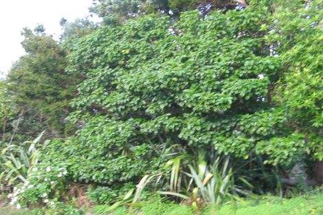 Photo of property in 38 Barrier View Road, Leigh, 0985