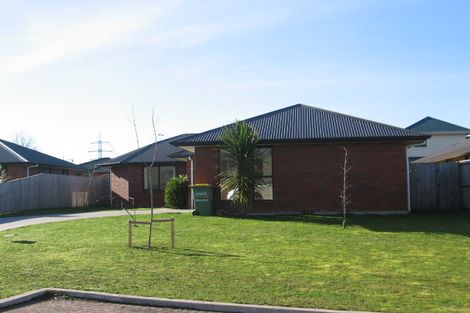 Photo of property in 3 Ashgrove Court, Hamilton East, Hamilton, 3216