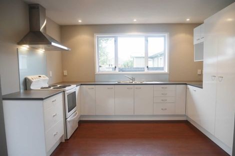 Photo of property in 145 Buchanans Road, Hei Hei, Christchurch, 8042