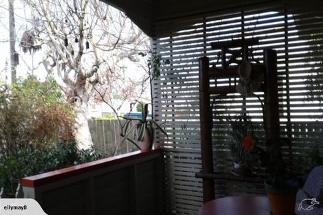 Photo of property in 21 Falkland Street, Whanganui East, Whanganui, 4500