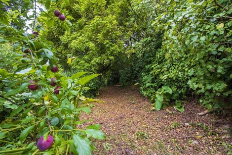Photo of property in 7-9 Shotover Grove, Waikanae, 5036