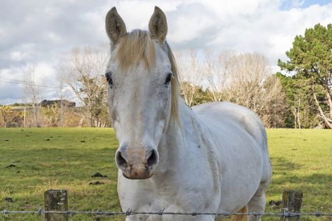 Photo of property in 1723 Cheltenham Hunterville Road, Waituna West, Rewa, 4780