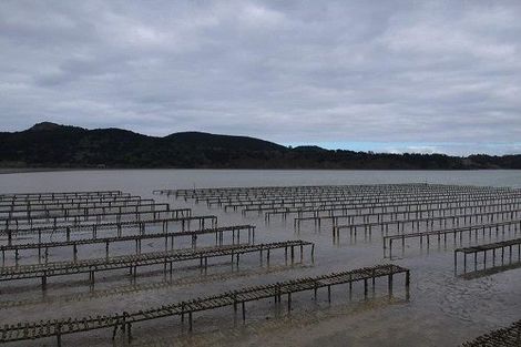 Photo of property in 50 Kiteone Road, Parua Bay, Whangarei, 0174