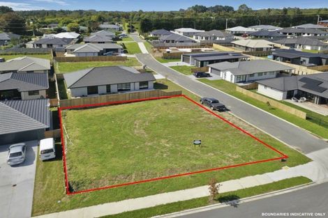 Photo of property in 46 Tynan Street, Te Puke, 3119