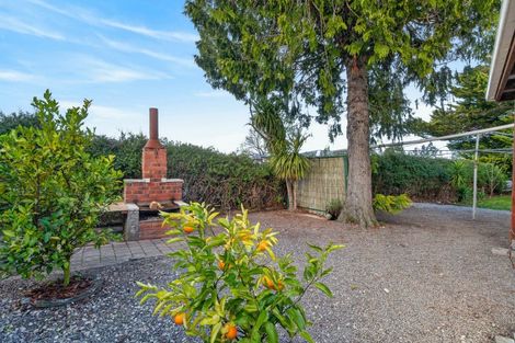 Photo of property in 137 Cockburn Street, Kuripuni, Masterton, 5810