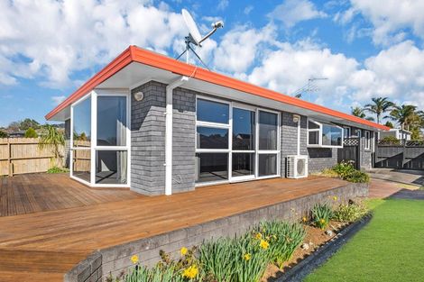 Photo of property in 25b Cooper Street, Pukekohe, 2120