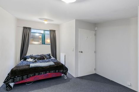 Photo of property in 246 Taranaki Street, Mount Cook, Wellington, 6011