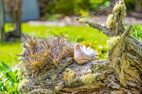 Photo of property in 33 Kauri Street, Dargaville, 0310