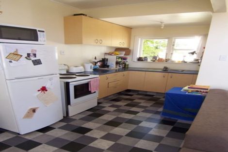 Photo of property in 113 Coromandel Street, Newtown, Wellington, 6021