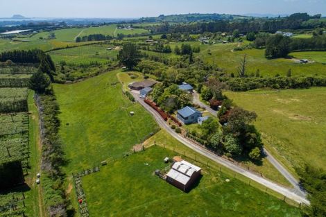 Photo of property in 220 Ross Road, Whakamarama, Tauranga, 3179