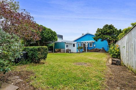 Photo of property in 193 Saint Aubyn Street, New Plymouth, 4310