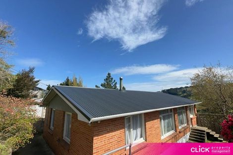 Photo of property in 238 Kenmure Road, Kenmure, Dunedin, 9011