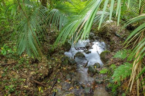 Photo of property in 23b Kakariki Grove, Waikanae, 5036