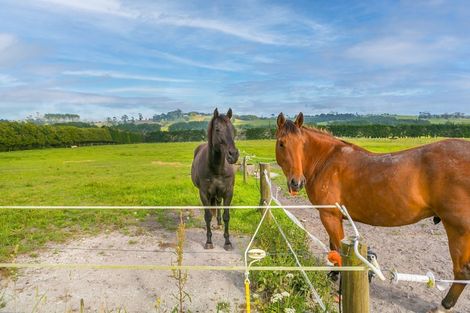 Photo of property in 449 School Road, Tomarata, Wellsford, 0974