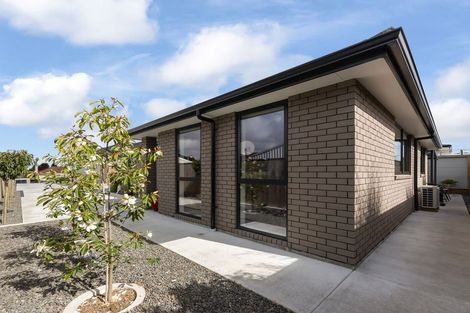 Photo of property in 30a Graham Street, Levin, 5510