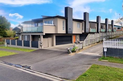 Photo of property in 10e Manning Street, Hamilton Central, Hamilton, 3204