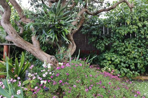 Photo of property in 120 Queen Sh25 Street, Thames, 3500