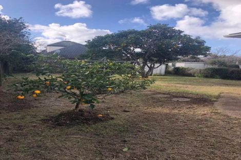 Photo of property in 51 Lambeth Road, Mount Eden, Auckland, 1041