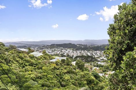 Photo of property in 85 Farnham Street, Mornington, Wellington, 6021