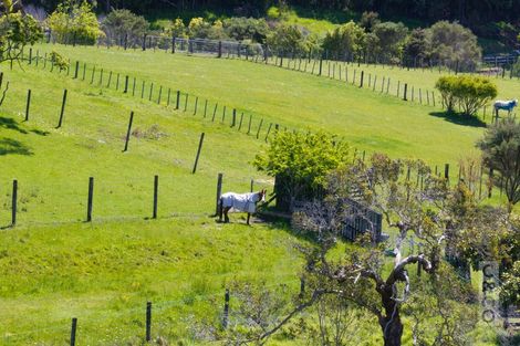 Photo of property in 25 School Road, Waimauku, 0881