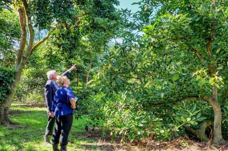 Photo of property in 50 Wright Road, Dairy Flat, Albany, 0794