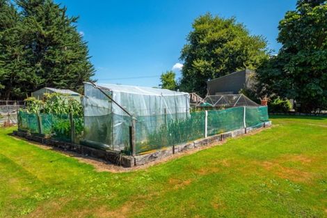 Photo of property in 252 Downs Road, Geraldine Downs, Geraldine, 7991