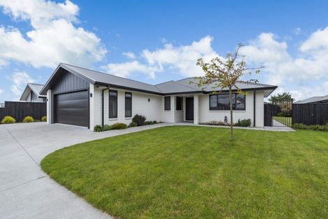 Photo of property in 31 Hampton Terrace, Matamata, 3400