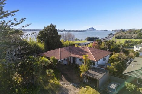 Photo of property in 113 Twelfth Avenue, Tauranga South, Tauranga, 3112