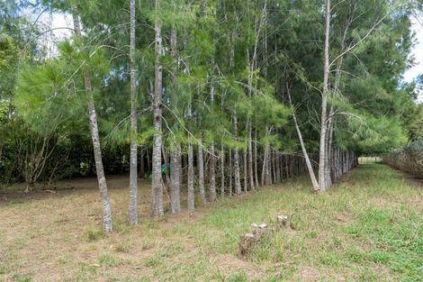 Photo of property in 3687 State Highway 12, Taheke, Kaikohe, 0473