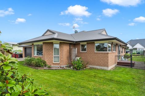 Photo of property in 6 Gimson Street, Solway, Masterton, 5810