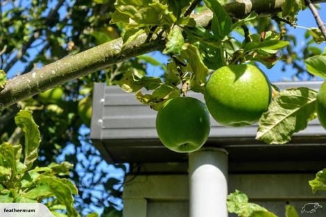 Photo of property in 27 Grassmere Street, Papanui, Christchurch, 8052