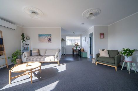 Photo of property in 45 Alison Street, Hamilton Lake, Hamilton, 3204