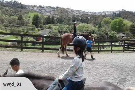 Photo of property in 32 Misty Valley Drive, Henderson, Auckland, 0612