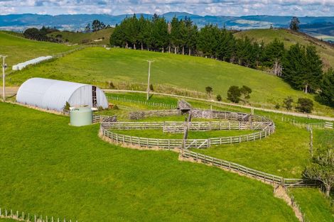 Photo of property in 579 Ormiston Road, Ruakaka, Waipu, 0582