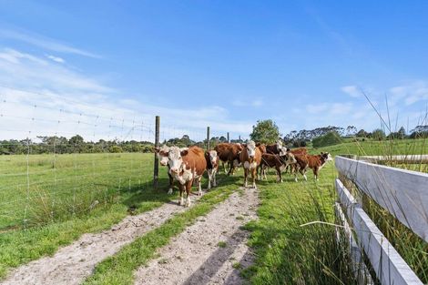 Photo of property in 132b Gatfield Road, Kaukapakapa, 0873