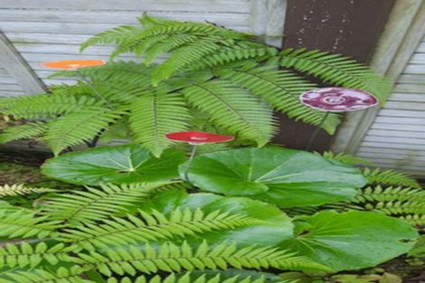 Photo of property in 5a Tui Grove, Oakura, 4314