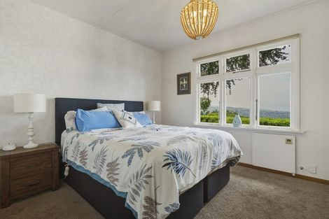 Photo of property in 21 Leven Street, Roslyn, Dunedin, 9010