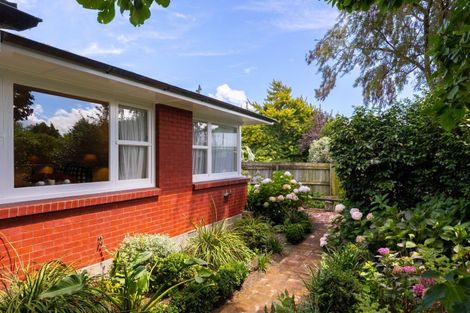 Photo of property in 56a Maxwell Road, Blenheim, 7201