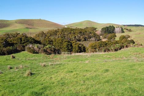 Photo of property in 16 Barnfield Road, Kaiwaka, 0573